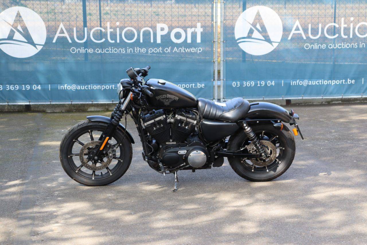 Motorcycle Harley-Davidson Sportster XL883 Iron Petrol 2017