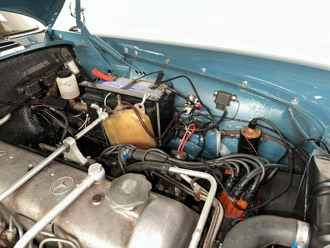 image of the lot