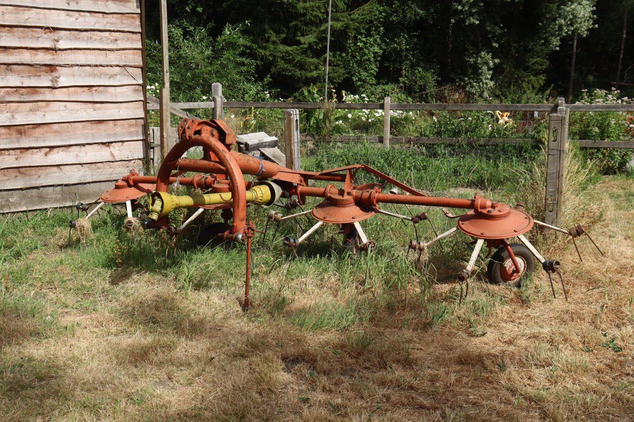 image of the lot