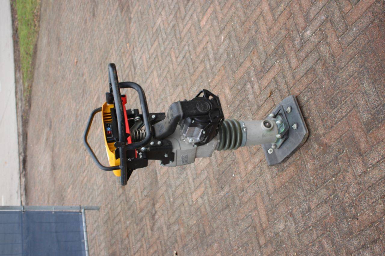 image of the lot