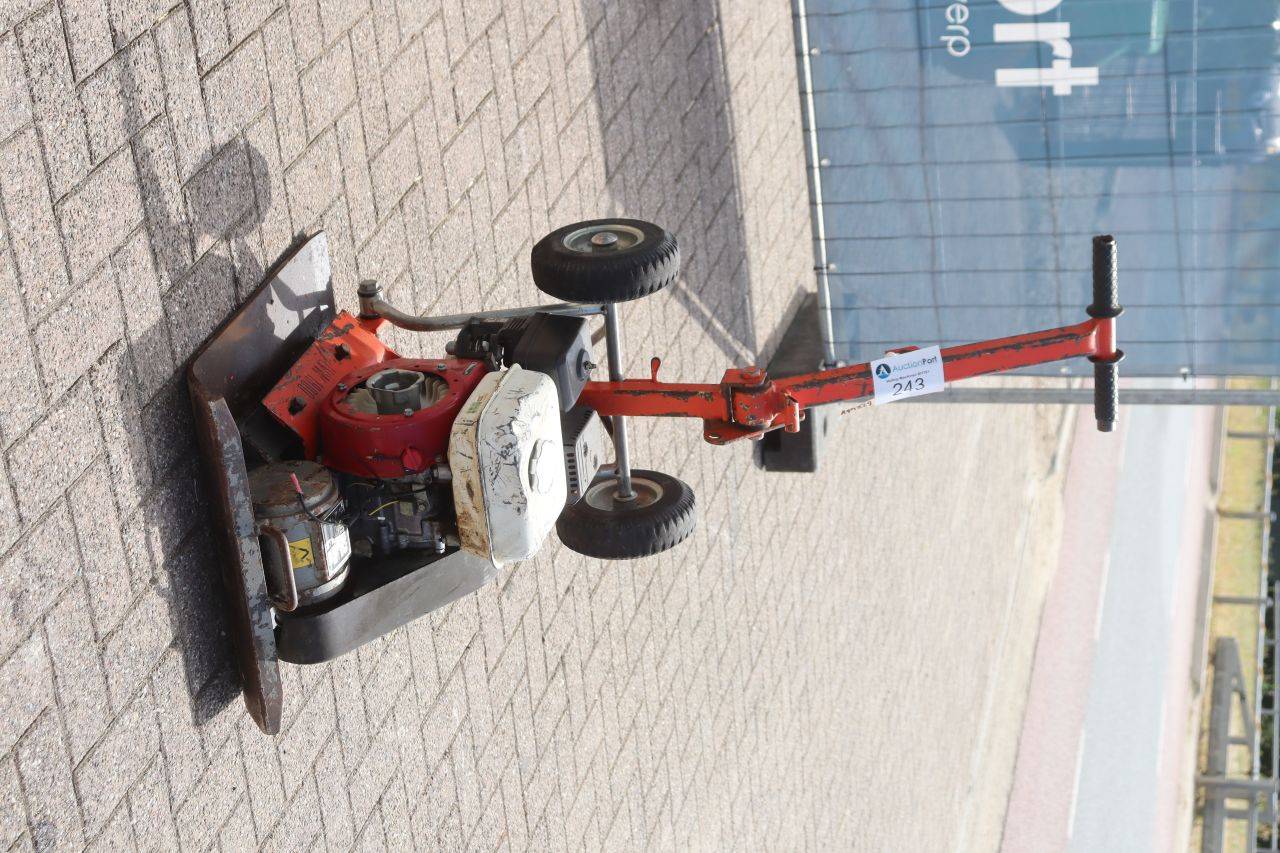 image of the lot