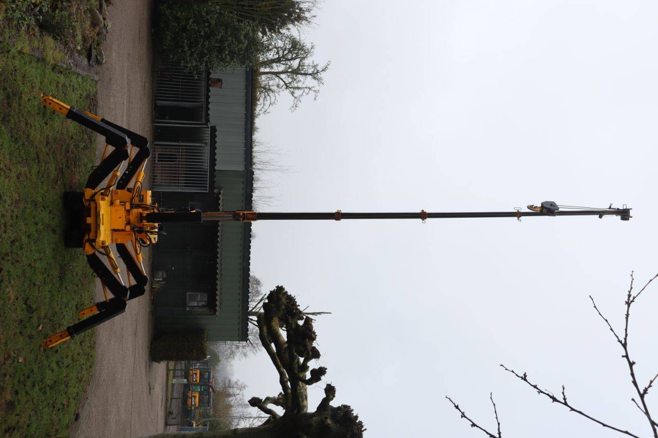 image of the lot
