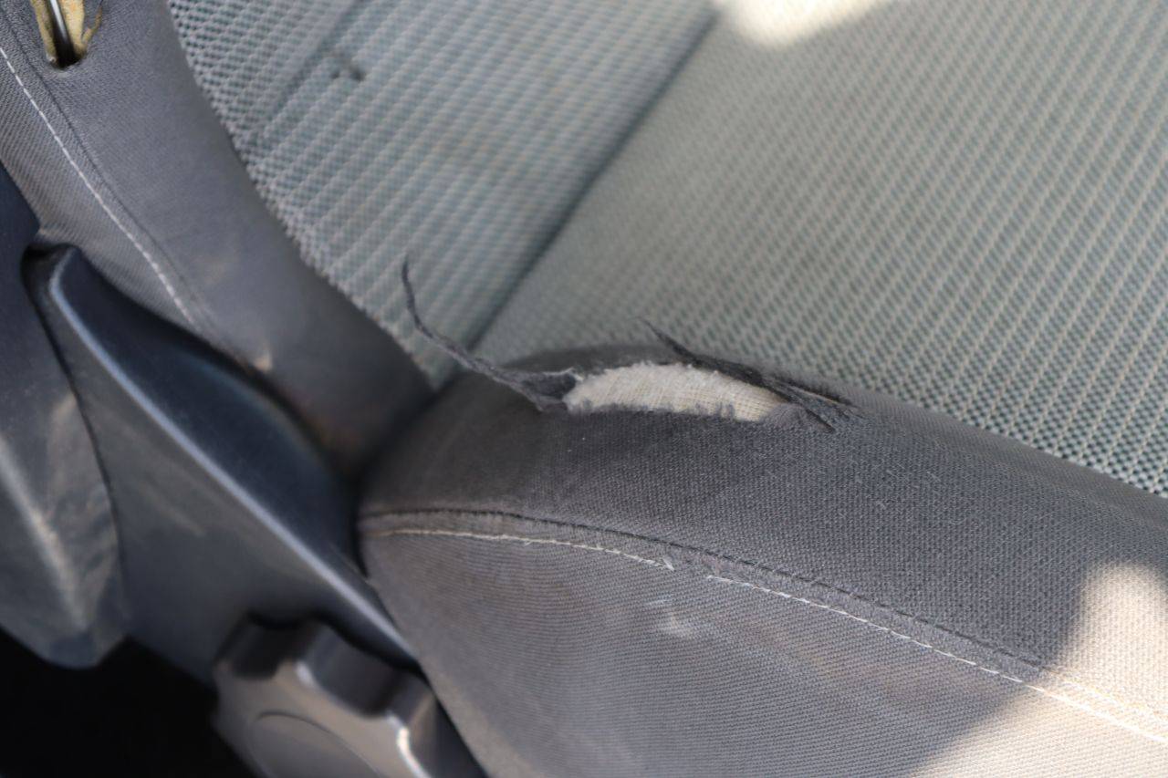 image of the lot