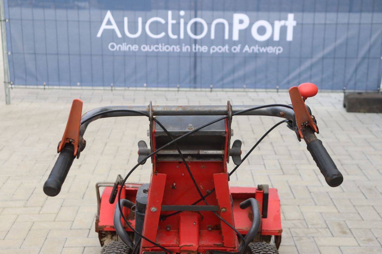 image of the lot