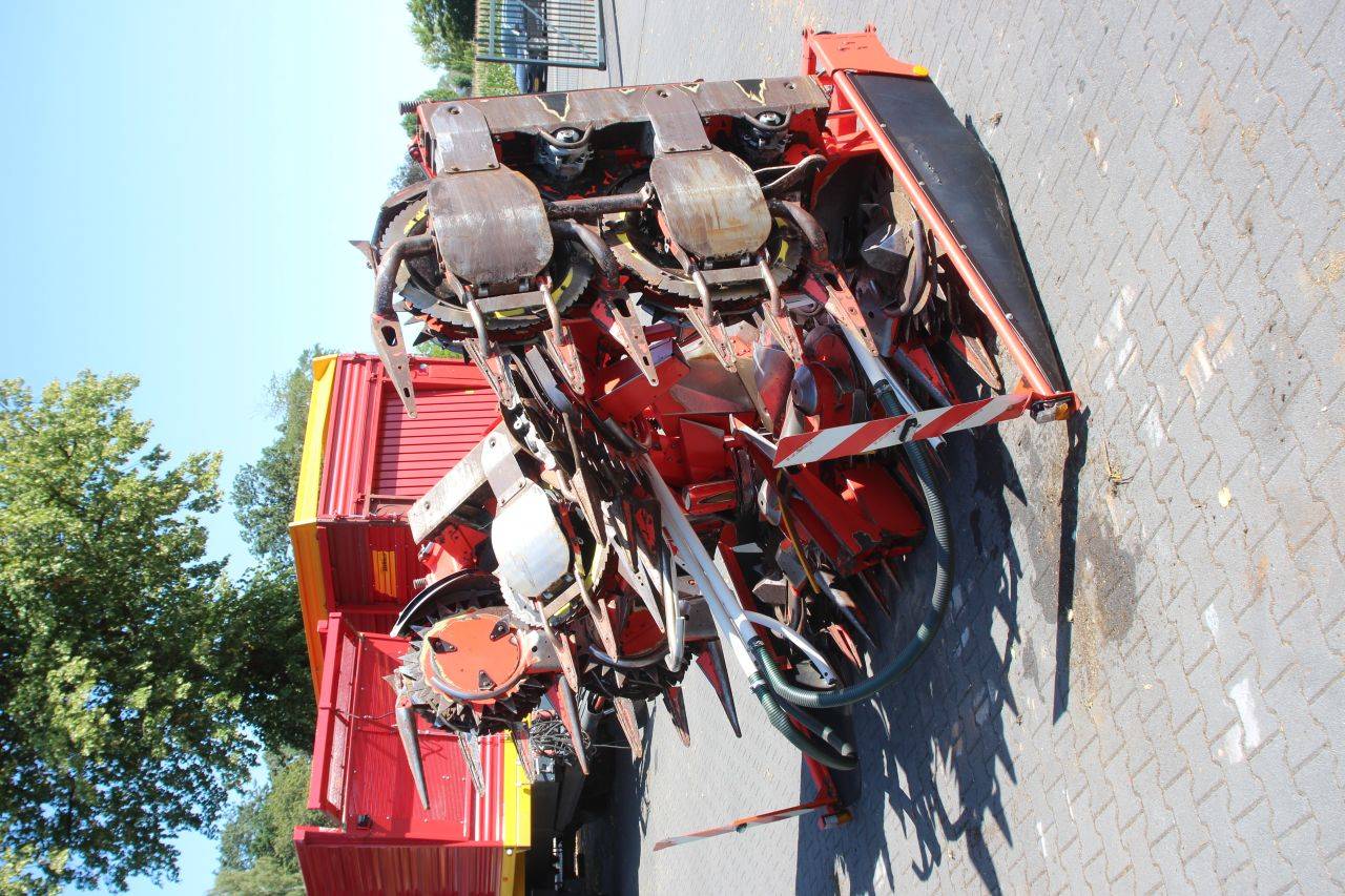image of the lot