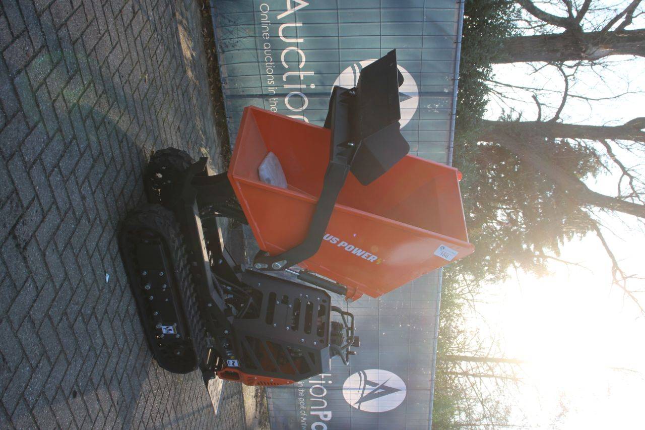 image of the lot