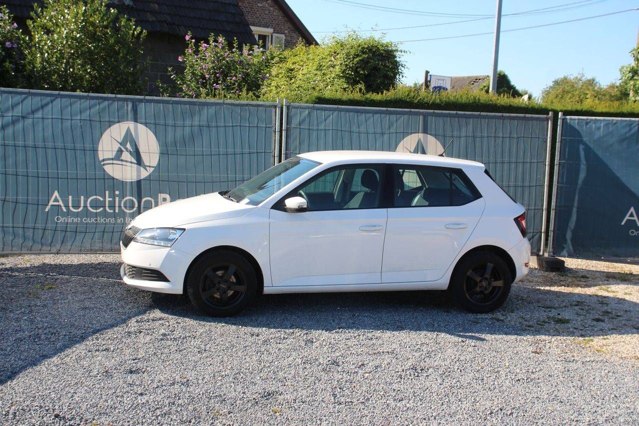 Passenger car Škoda Fabia Petrol 60hp 2020 (Margin)