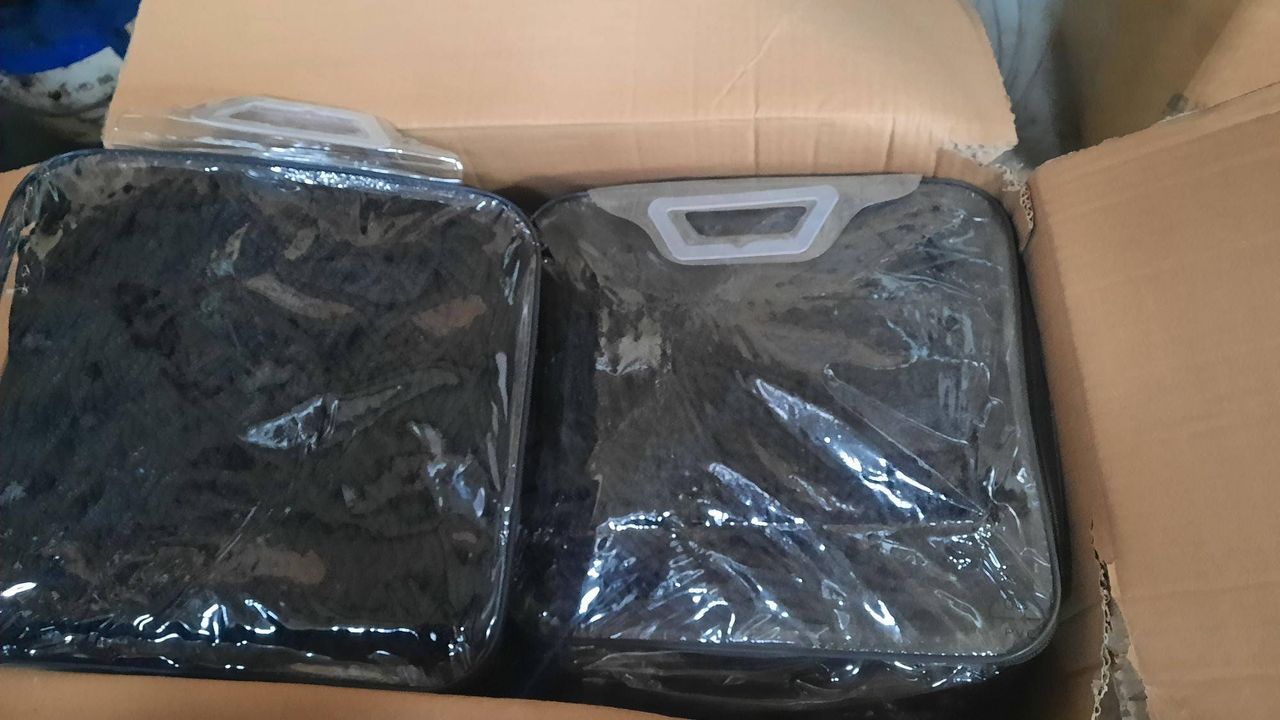 Trailer Nets with Elastic New 2 pieces