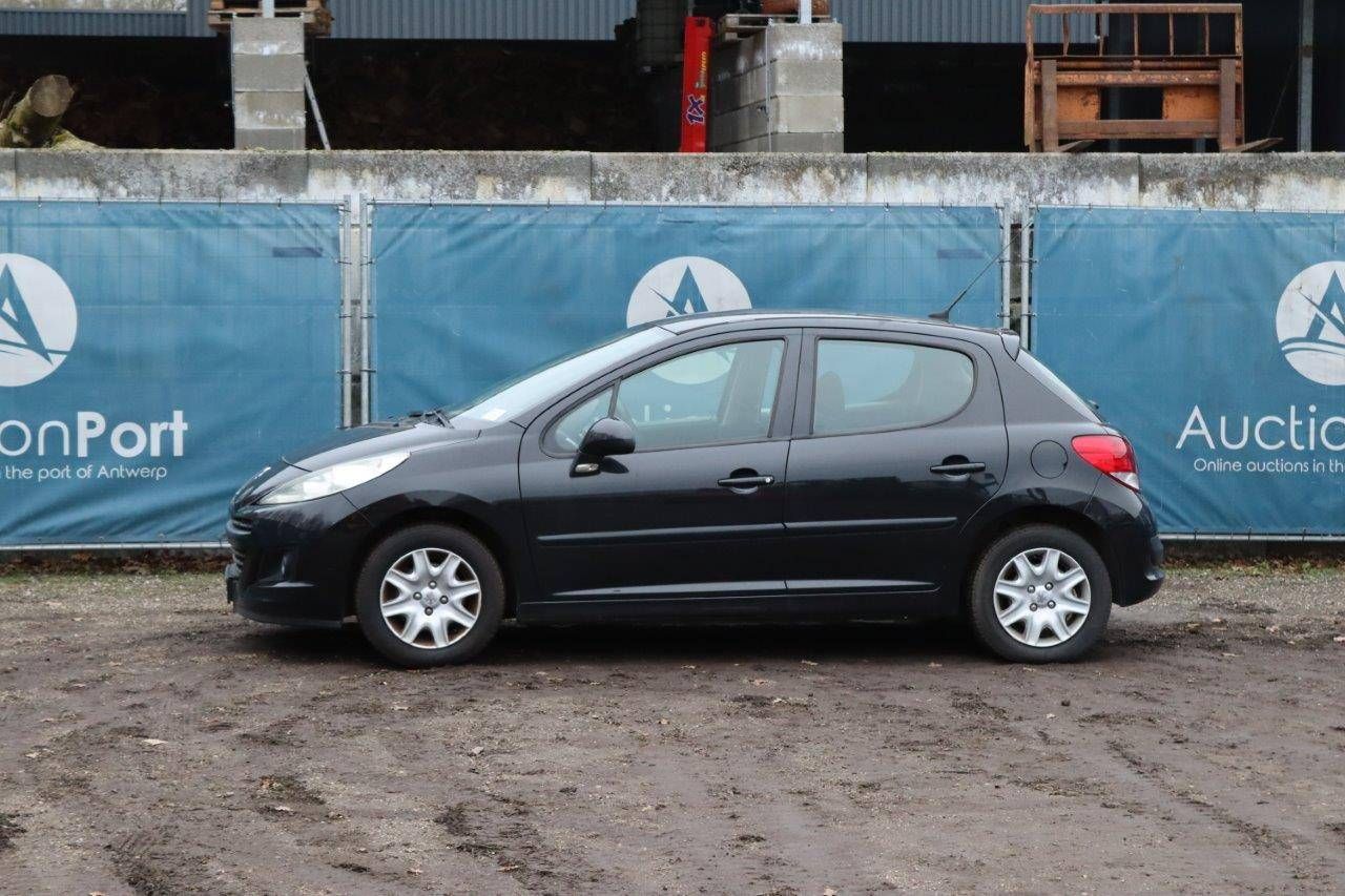 Passenger car Peugeot 207 Petrol 2009 (Margin)