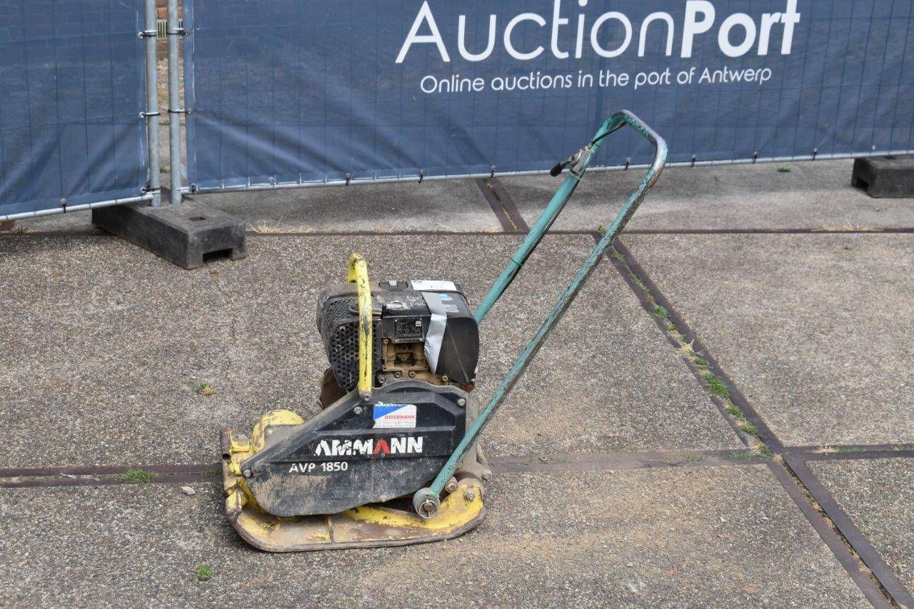 Vibratory plate Ammann