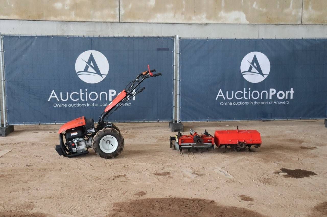 Tiller Goldoni JOKER 1*KR70 2020