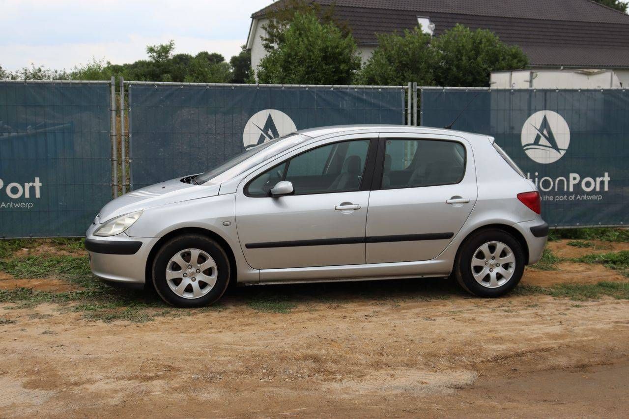 Passenger car Peugeot 307 Petrol 109hp 2002 (Margin)