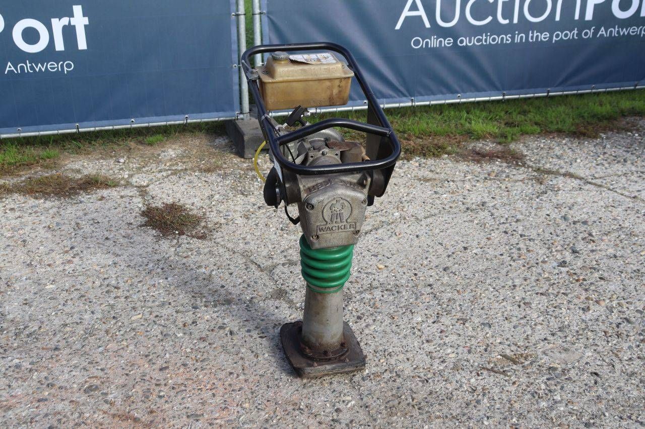 Tampone vibrante a benzina Wacker Neuson BS50-2