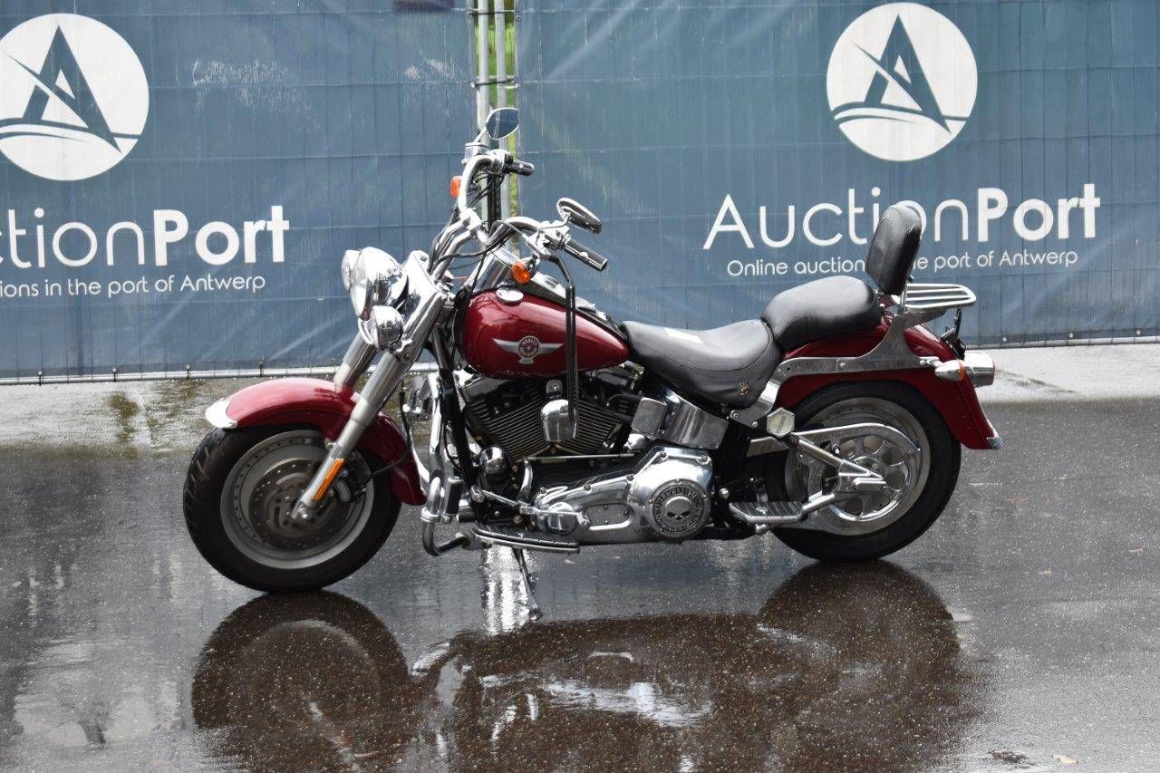 Harley-Davidson Softail Fatboy Gasoline