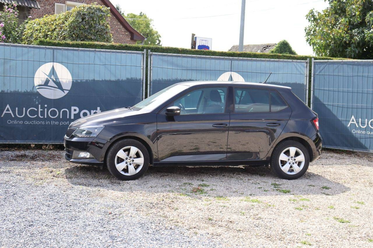 Passenger car Skoda Fabia Petrol 90hp 2016 (Margin)