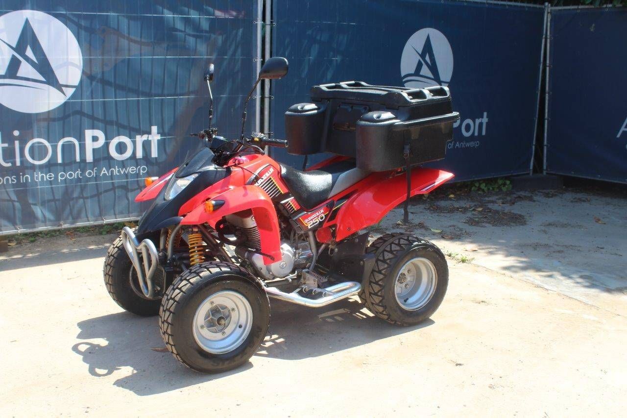 Quad Quadzilla 250 Gasoline