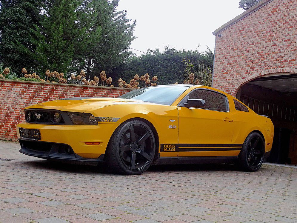 Ford Mustang GT Boss 302 Petrol 2011 (Margin)