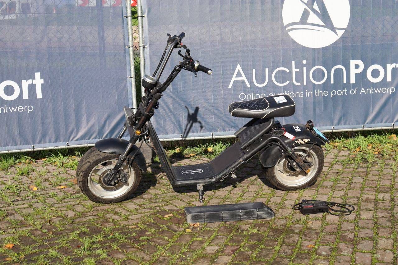 Trottinette électrique Eznen Caigiees 2018