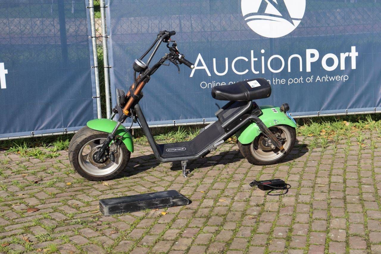 Scooter Cat Elektrisch