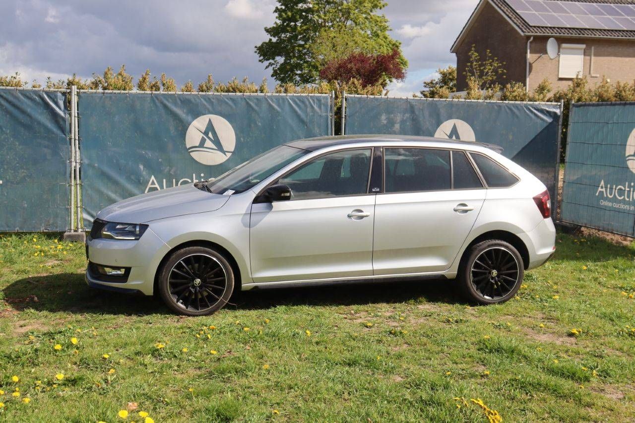 Passenger car Skoda Rapid Petrol 110hp 2019 (Margin)