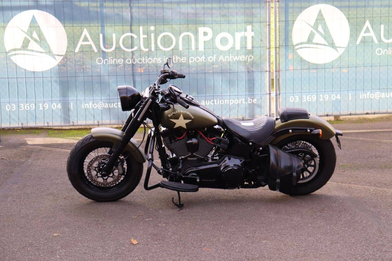Harley-Davidson Slim S Petrol 2016 Motorcycle (Margin)