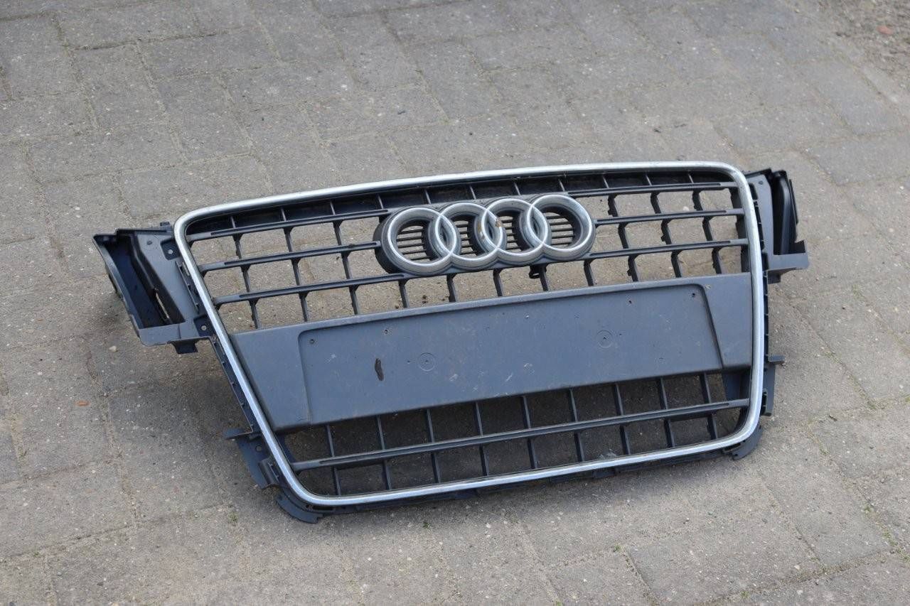 Grille Audi (Margin)