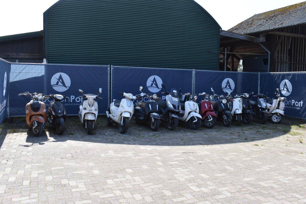 Party-Mopeds