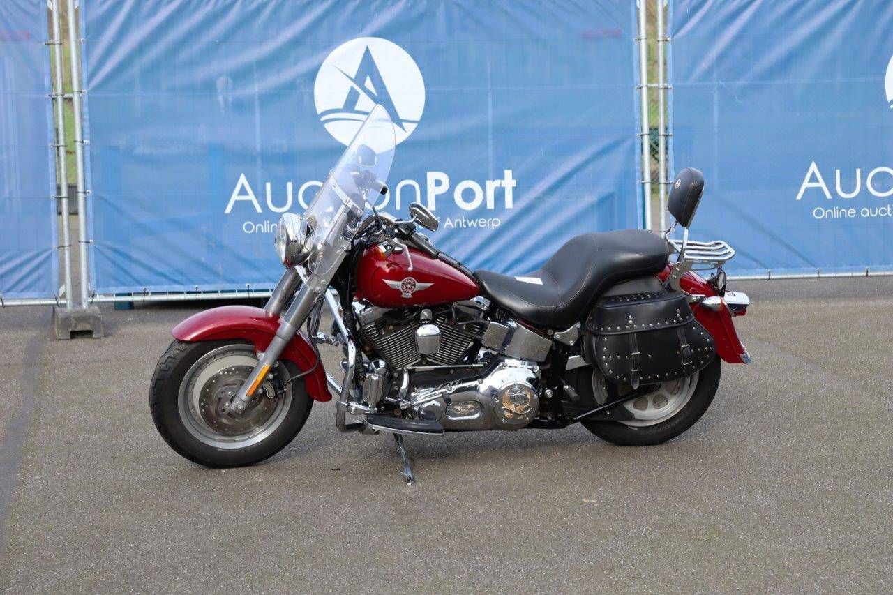 Motorcycle Harley Davidson Softail Fatboy Gasoline