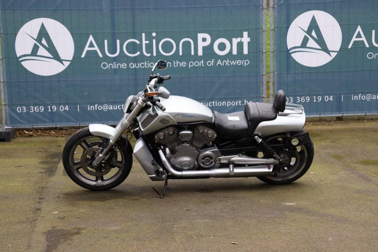 Motorcycle Harley-Davidson V-Rod Muscle Petrol 2010