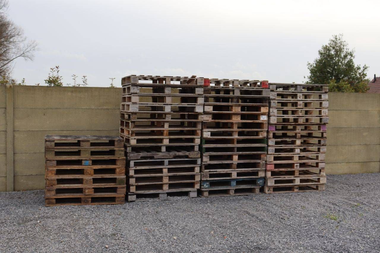 Lot of various pallets 50 pieces (Margin)