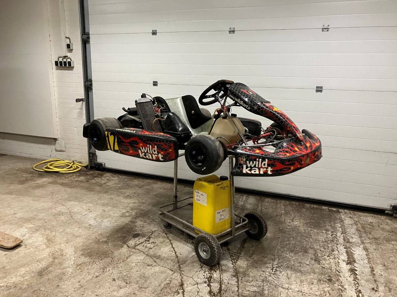 Gokart Wild Kart Gasoline