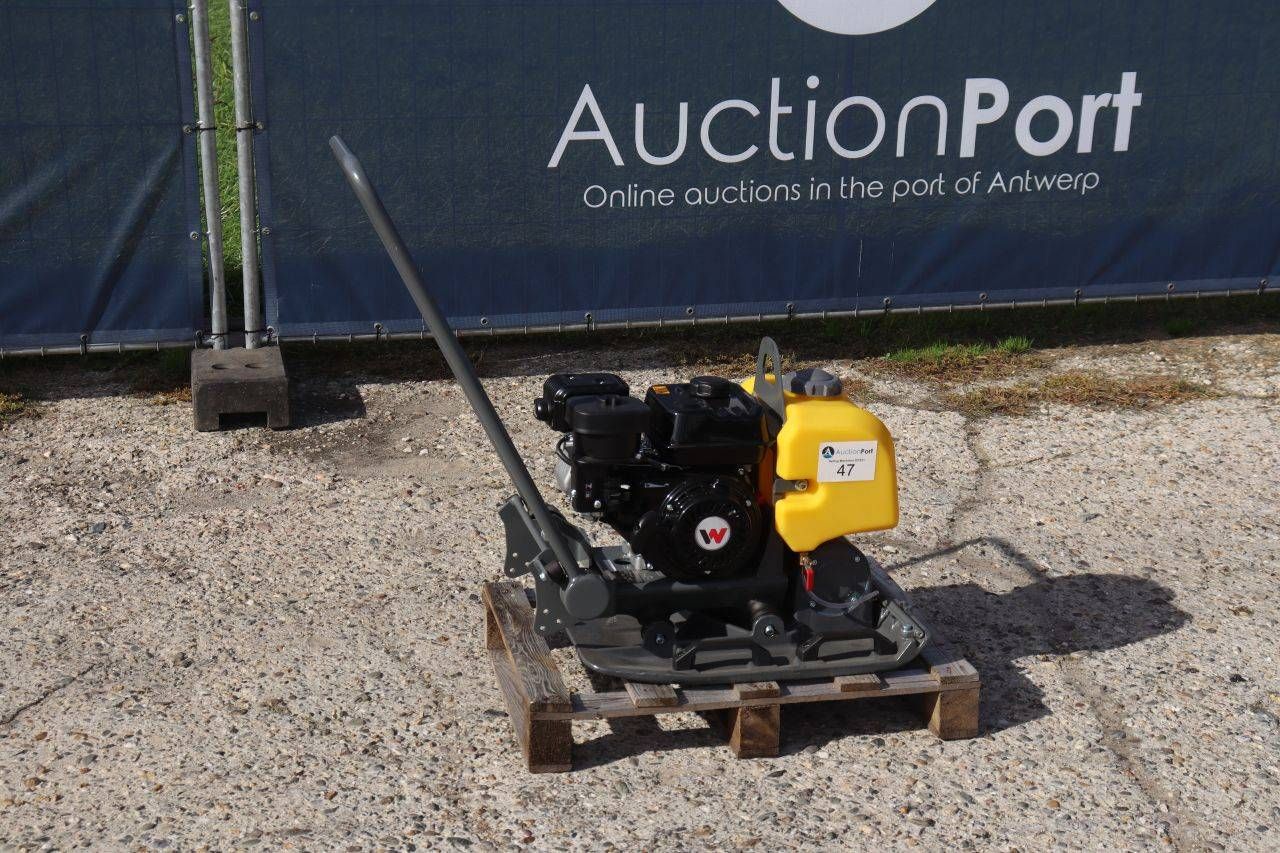 Piastra vibrante Wacker Neuson BPS1550 a benzina 4,4 kW 2025 Nuova