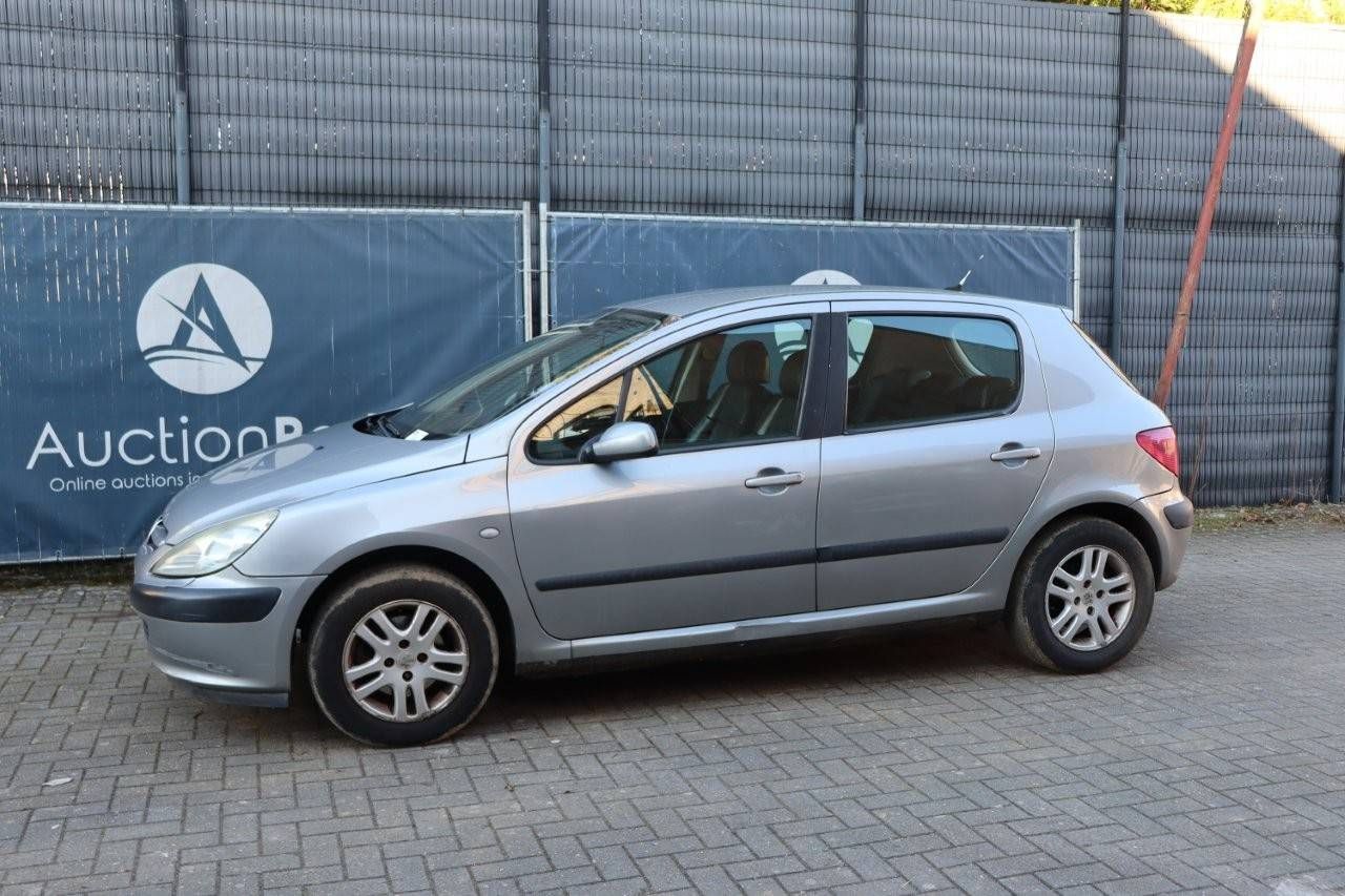 Passenger car Peugeot 307 Petrol 136hp 2003 (Margin)
