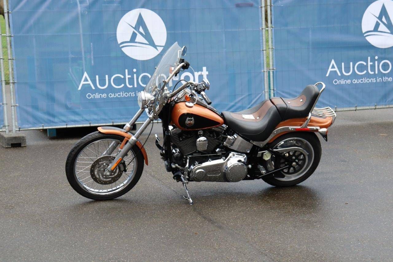 Harley Davidson Softail Custom Anniversary Gasoline