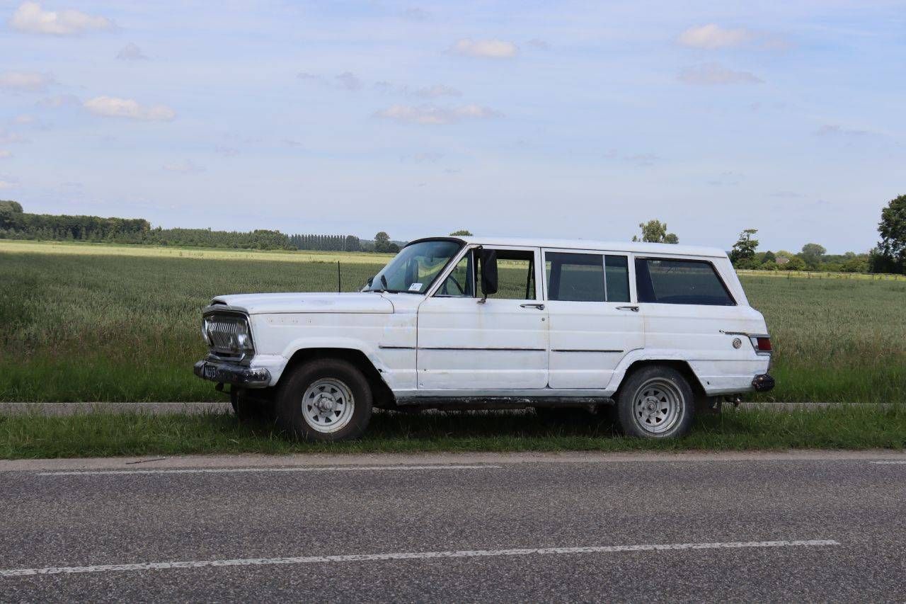 Jeep Wagoneer Petrol 1969 (Margin)