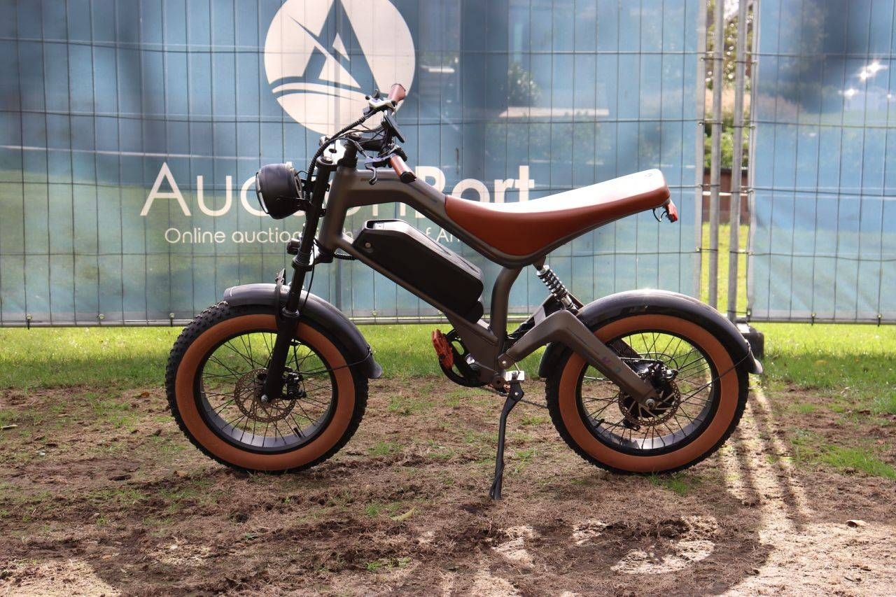 E-Bike DYU M20 Elektro
