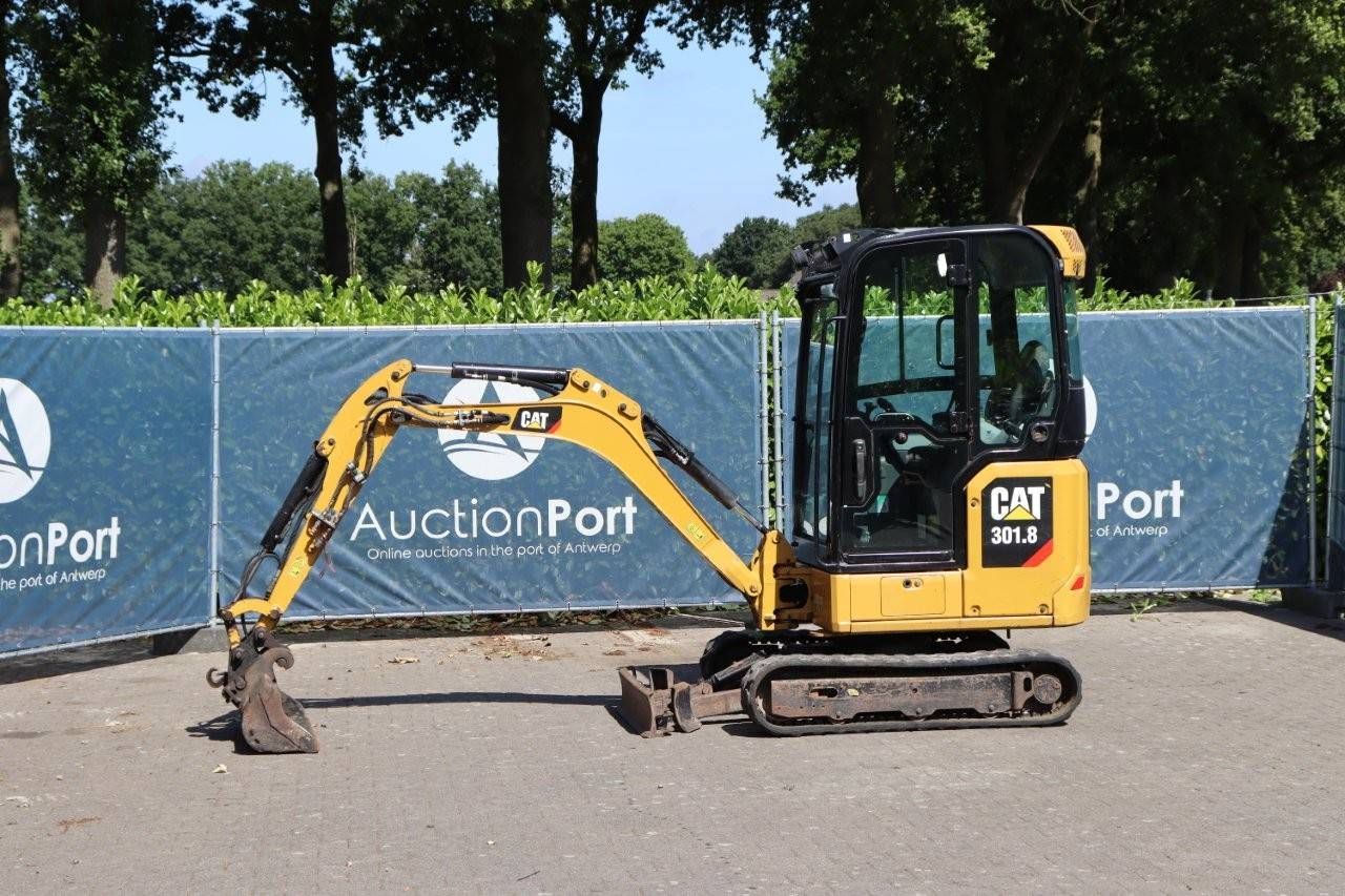 Crawler Excavator Cat 301.8 Diesel 2019