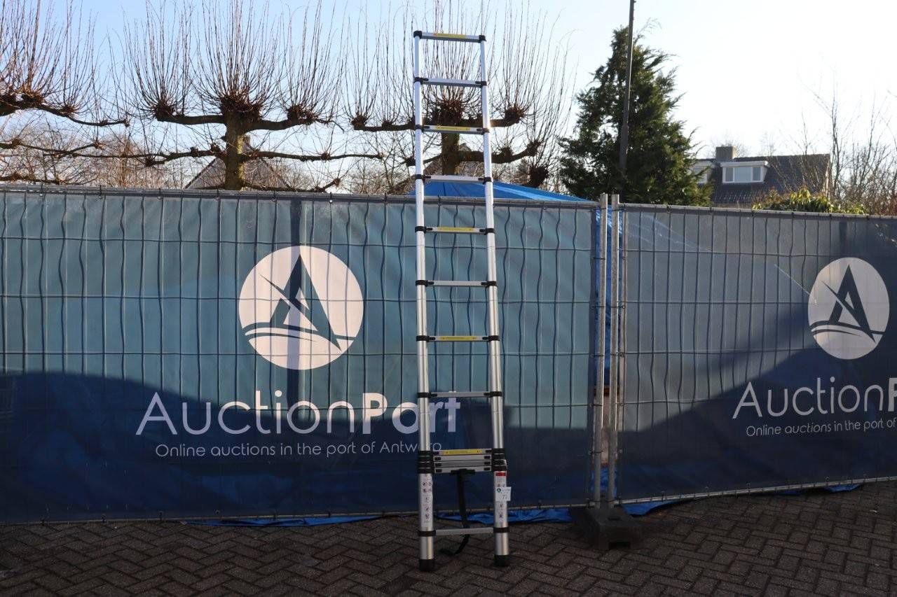 Telescopic Ladder