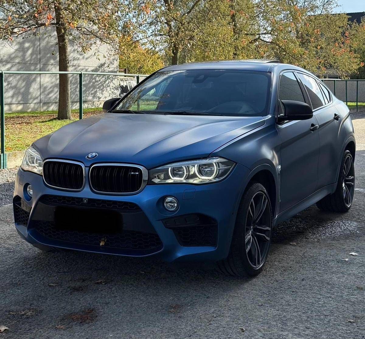 BMW X6 M (Margin)