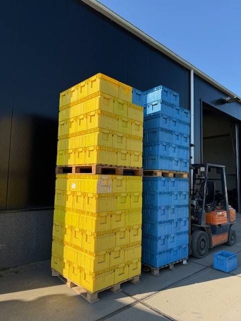 Lot of Crates +/-200 pieces