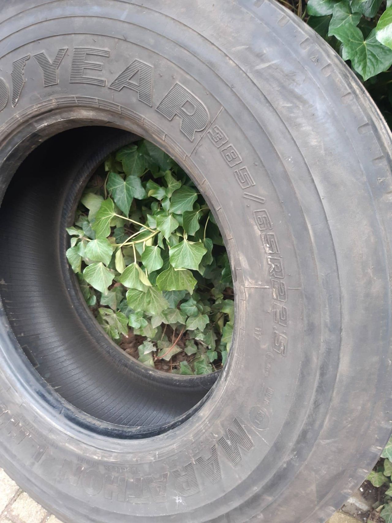 Tire Goodyear 385/65 R 22.5