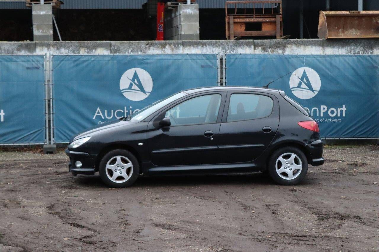 Passenger car Peugeot 206 Petrol 2006 (Margin)