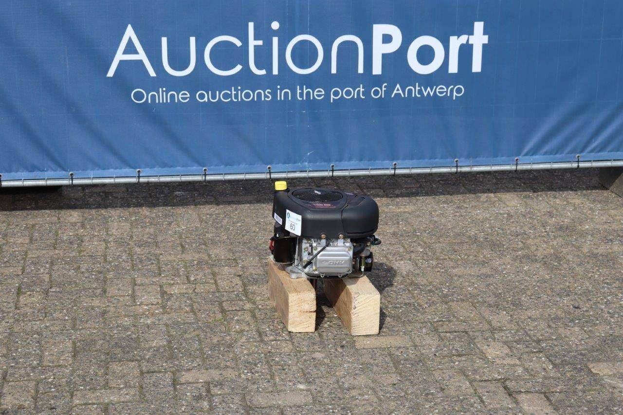 Engine Briggs Stratton 0195E1 Petrol 13.5hp