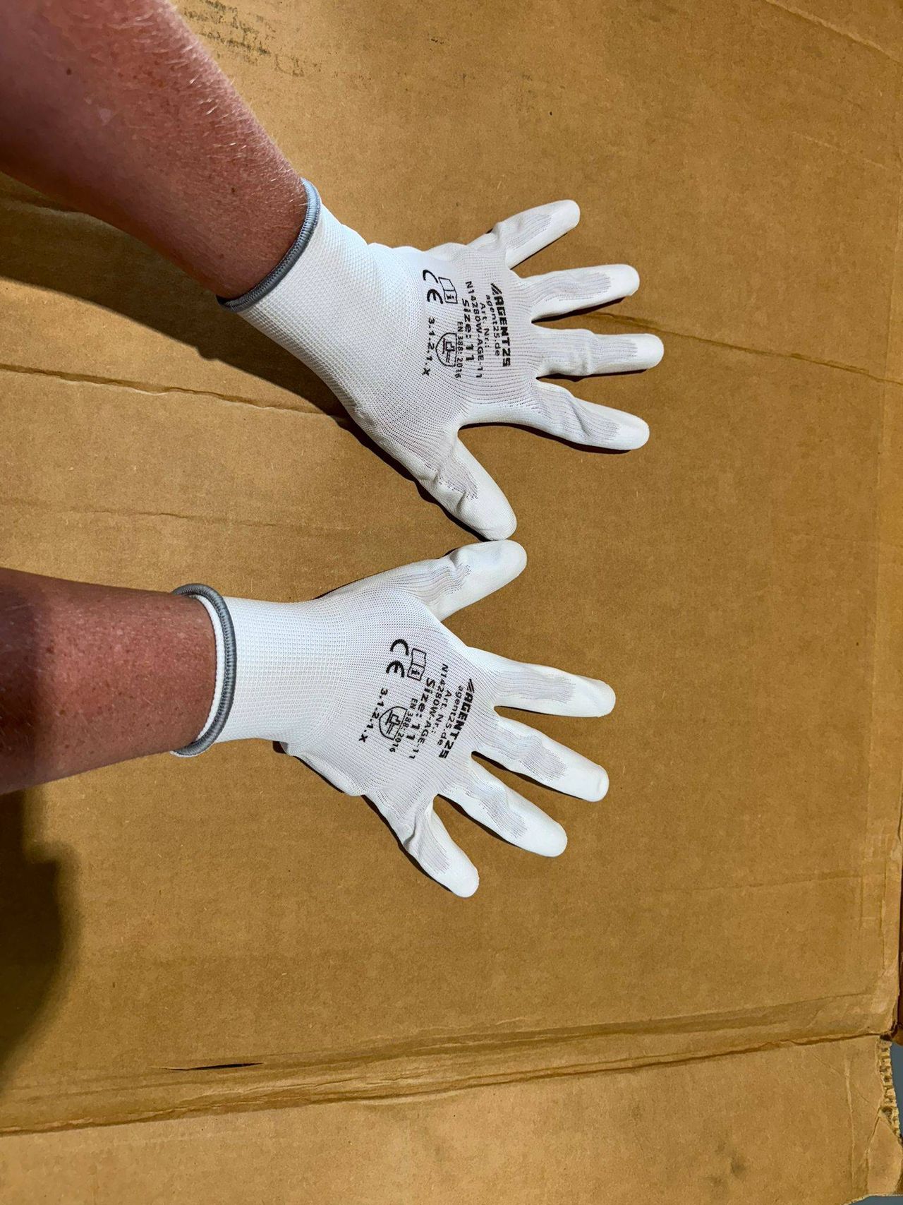 Lot of Gloves in Boxes 1152 pairs New