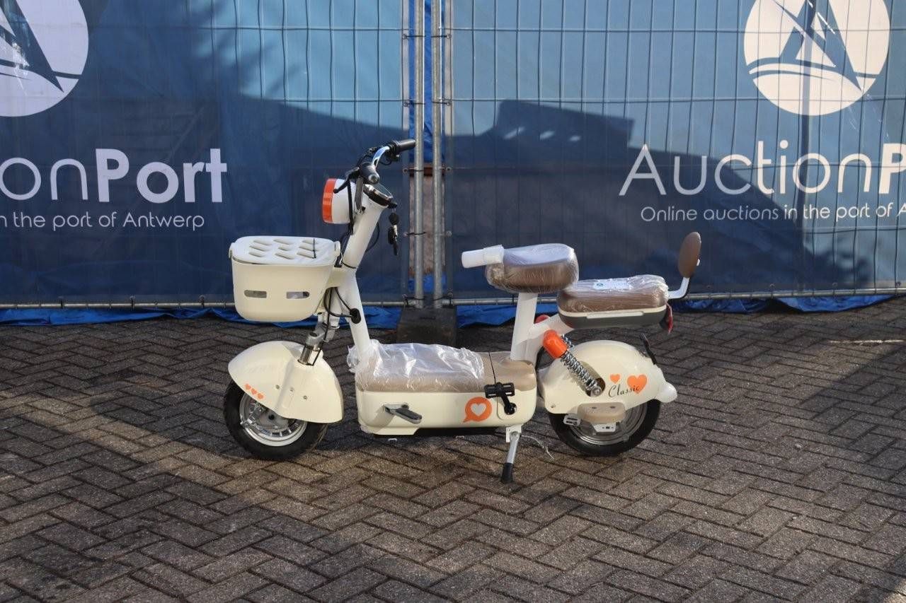 Scooter Electric