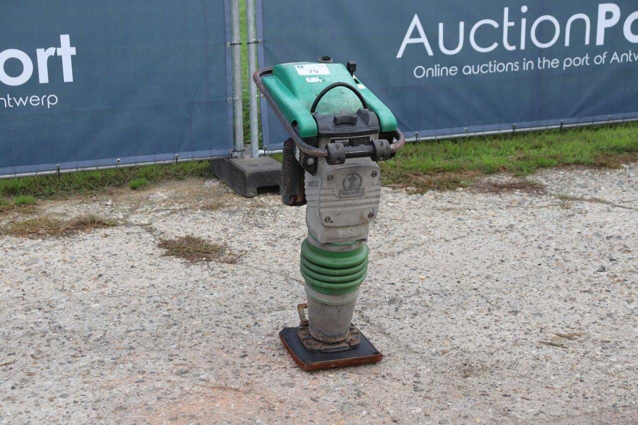 Tampone vibrante a benzina Wacker Neuson BS600