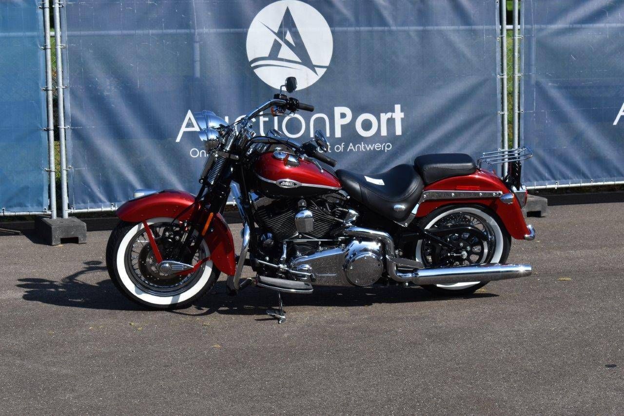Harley-Davidson Softail Springer Gasoline (Margin)