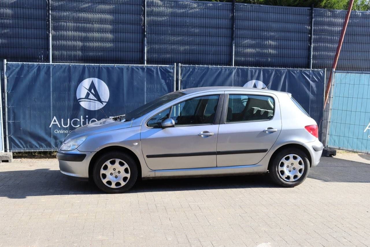 Passenger car Peugeot 307 Petrol 2002 (Margin)
