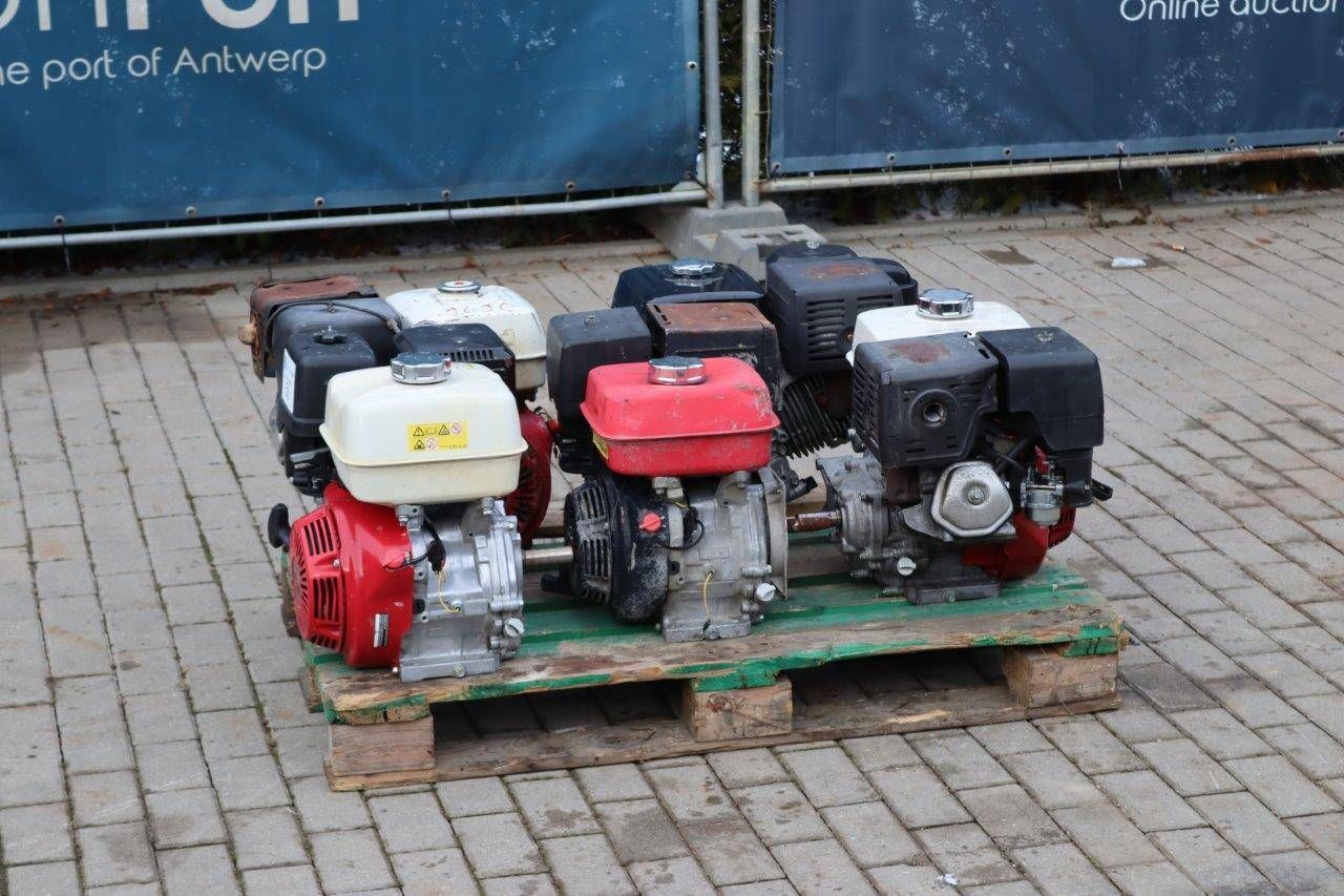 Party Motorcycles Honda Petrol 