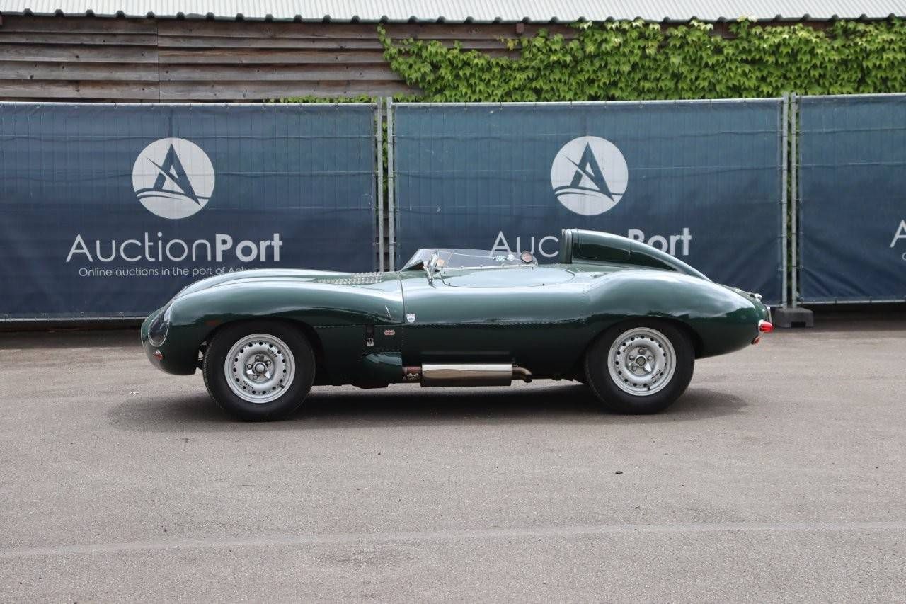 Jaguar D-Type by RAM - Belgian homologation - 1958 (Margin)